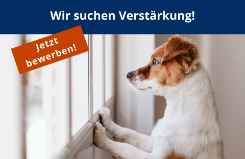Design ohne Titel (41).png