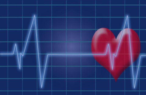 heartbeat-gfd2f58acd_1920_-_bild_von_christine_schmidt_auf_pixabay_.jpg